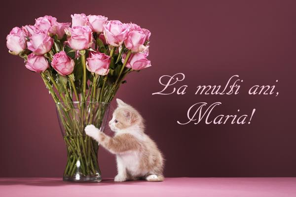 Sarbatori - felicitare32.jpg